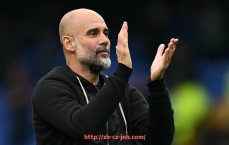 金年会-2023-2024赛季欧冠德甲参赛球队全名单